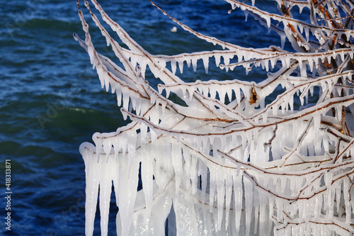 Baum mit Eiszapfen in Romanshorn am See