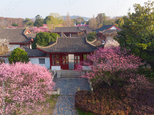Obraz na płótnie Spring plum blossoms and park scenery in East Lake Plum Garden in Wuhan, Hubei