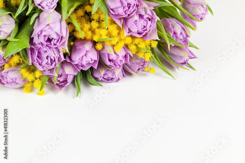 Wallpaper Mural Bouquet of lilac Double Flag tulips, yellow mimosas on white background, copy space, side view, closeup. March 8, February 14, birthday, Valentine's, Mother's, Women's day celebration, spring concept Torontodigital.ca