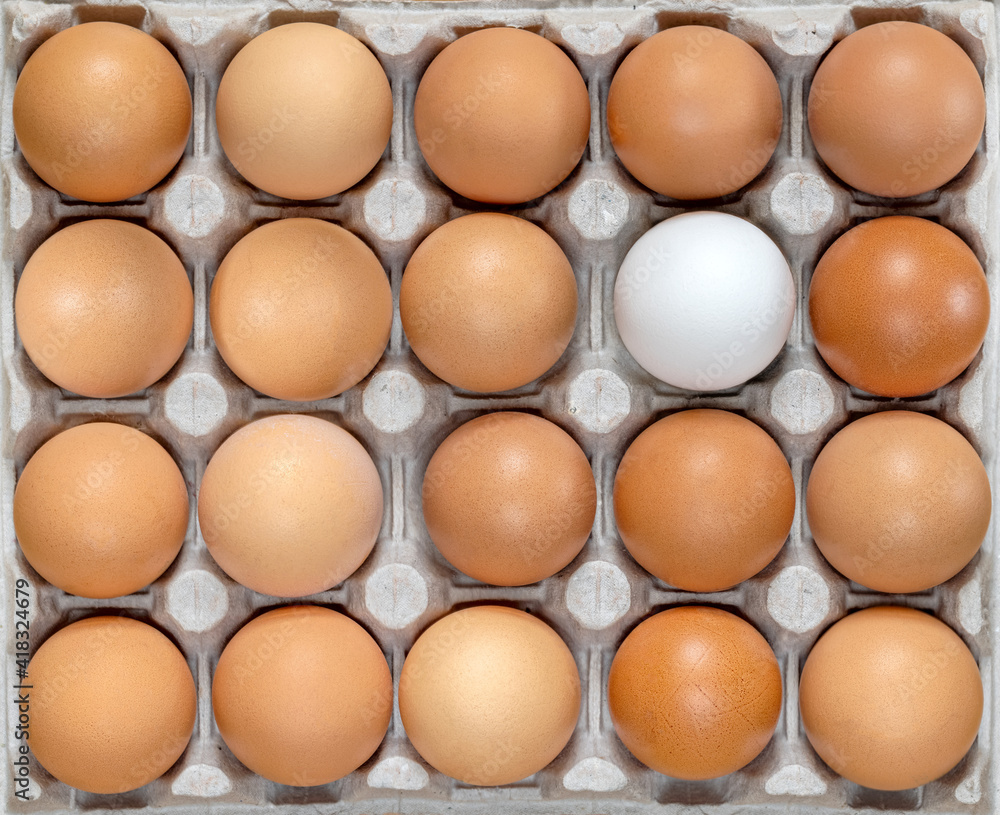 Eggs in carton. Eggs in box. Healthy Farm Food in eco packaging. One white egg among the dark ones, concept. Eggs in carton. Eggs in box. Healthy Farm Food in eco packaging. One white egg among the dark ones, concept.