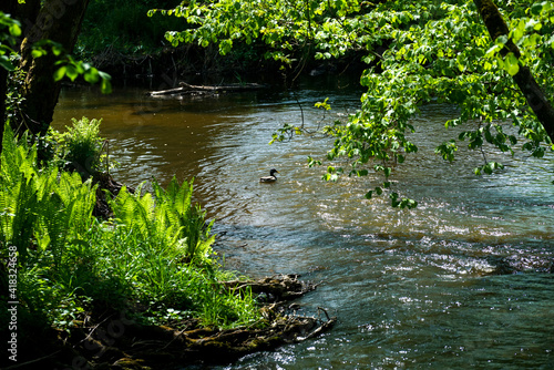 Landscape photographs in the Bavarian Upper Palatinate and Lower Bavaria between Regensburg and Straubing