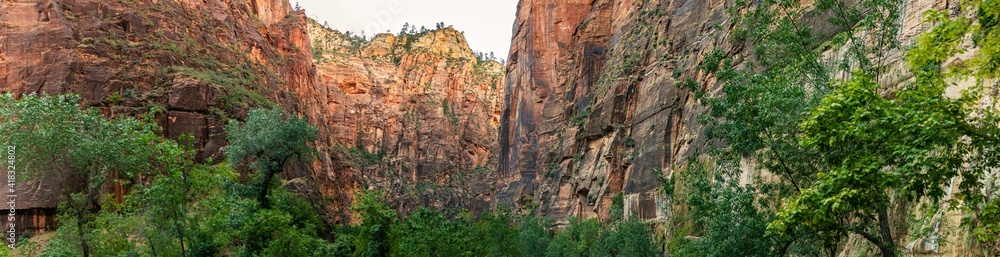 Panorama shot of green trees and red sandstone walls of deep canyon in Zion national park in Utah, america