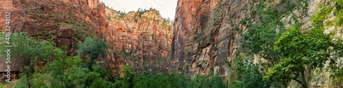 Panorama shot of green trees and red sandstone walls of deep canyon in Zion national park in Utah, america