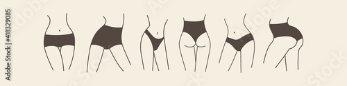 Beautiful slender female hips, legs and waist in various poses. Types of women's panties on sexy bodies. Outline vector illustration EPS 10.
