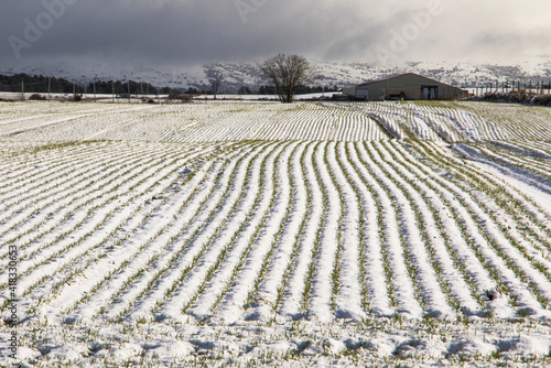 plowed field in winter