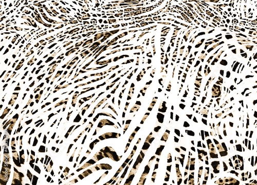 Seamless animal print, leopard, zebra, tiger pattern