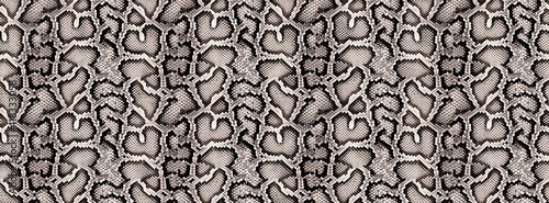 Tableau sur toile Seamless snake skin, python pattern