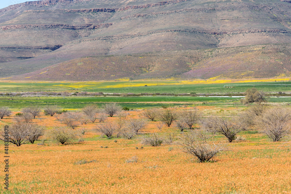 Fototapeta premium landscape in the mountains