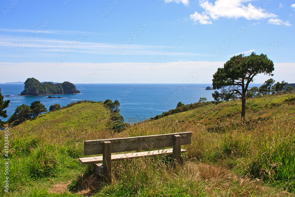 Idyllic scenic spot on Coromandel peninsula, New Zealand