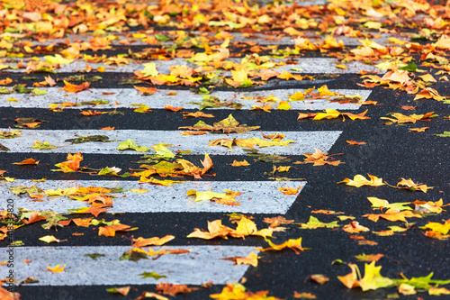 pedestrian crossing with autumn leaves