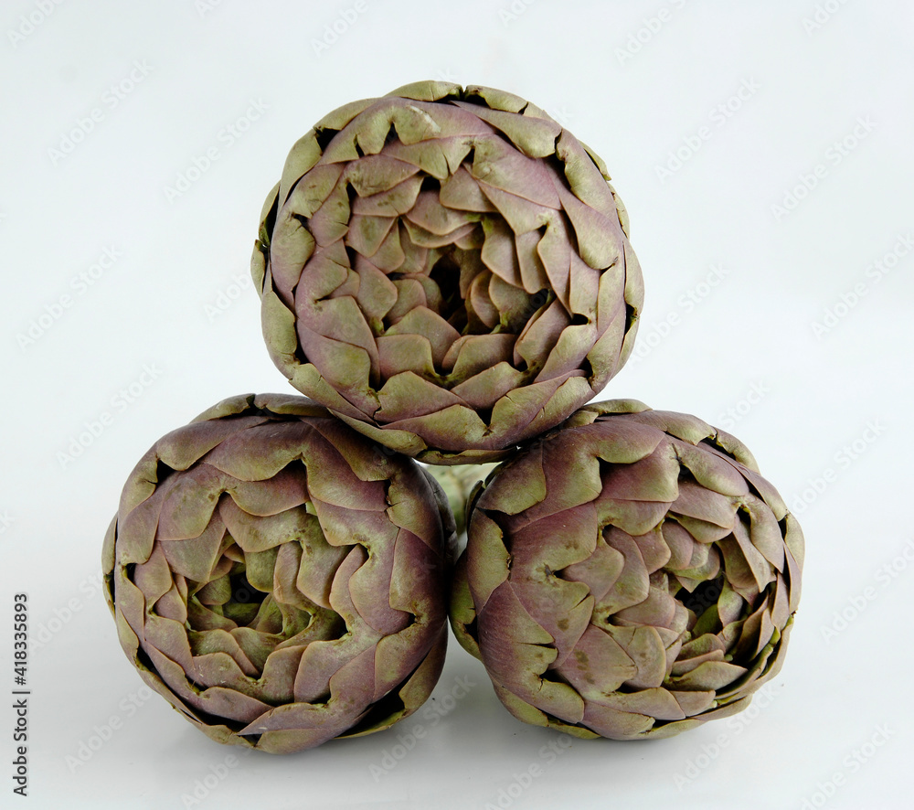 Fototapeta premium carciofo di Paestum or paestum artichoke is a typical product of Campania region in Italy