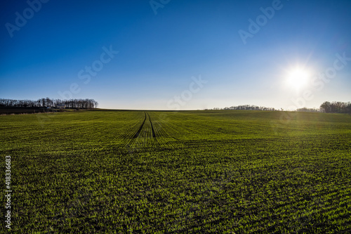 Trail in field leading to horizon