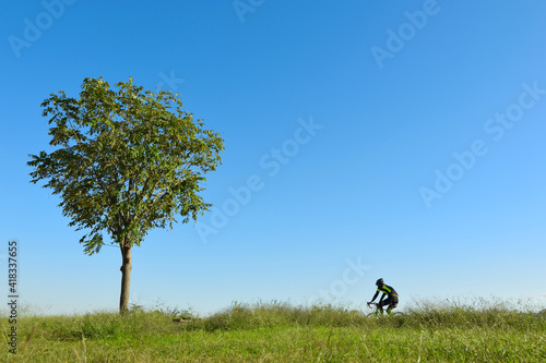 1本の木、青空と地平線、サイクリングする人