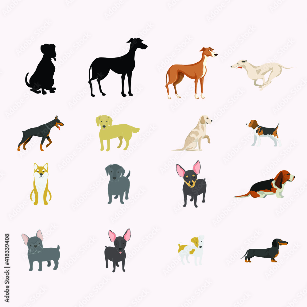 Various kind of dog is isolated. Vector Illustration.