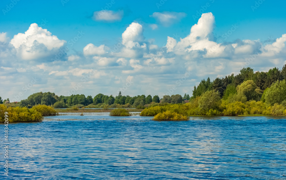 Trees and shrubs on the river Bank in summer against the sky and clouds6 Trees and shrubs on the river Bank in summer against the sky and clouds6