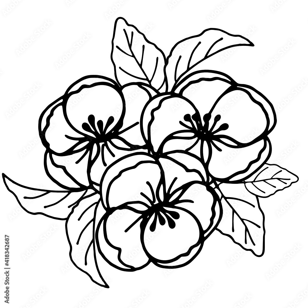 spring flower clip art black and white