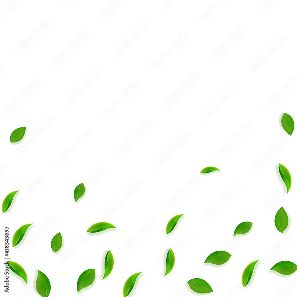 Falling green leaves. Fresh tea random leaves flyi Falling green leaves. Fresh tea random leaves flyi
