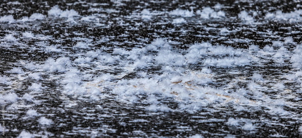 Snow crystals on the ice surface (Background, banner, Wallpaper, texture) Snow crystals on the ice surface (Background, banner, Wallpaper, texture)
