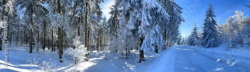 Panorama verschneiter Thüringer Wald