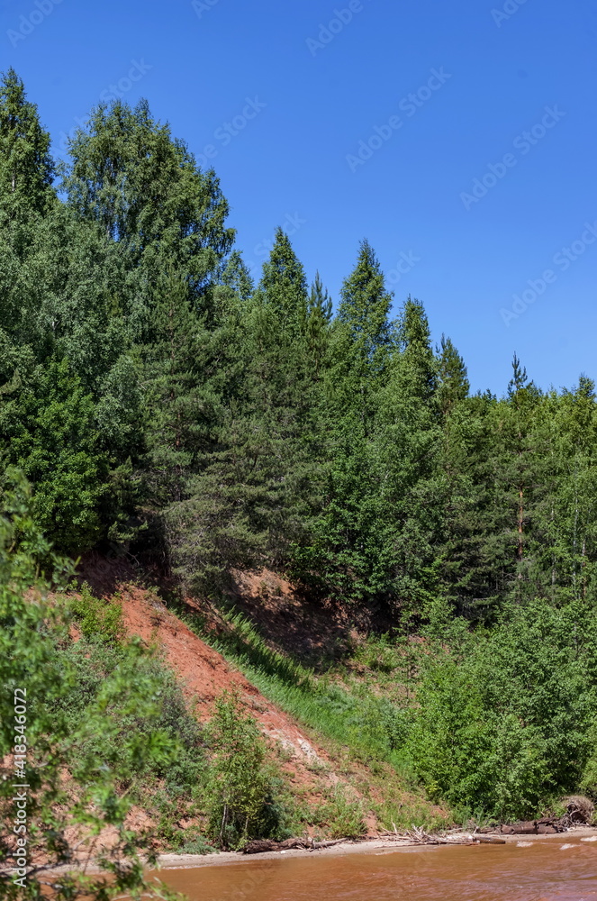 Summer landscape with the river, red from dissolved clay, trees, shrubs on the shore against the blue sky Summer landscape with the river, red from dissolved clay, trees, shrubs on the shore against the blue sky