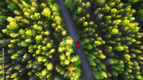 View from above, stunning aerial view of a red car that runs along a road flanked by a green spring forest at sunset.