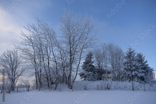A cold January morning,Sainte-Apolline, Québec © Claude Laprise