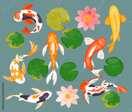 Koi carp fishes set, asian prosperity fortune lucky symbol and pink lotus, green leaf