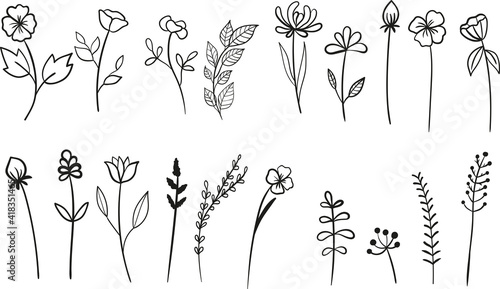Floral and herbal set. Graphic collection with fantasy field herbs. Hand drawn elements. Botanical elements for design on a white background.