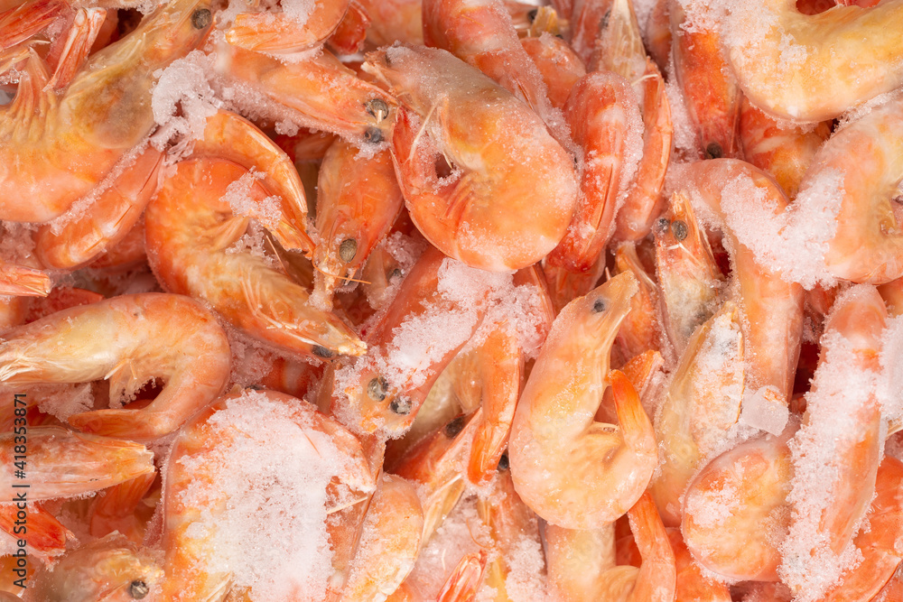 Fresh shrimps in ice. Top view. Fresh shrimps in ice. Top view.