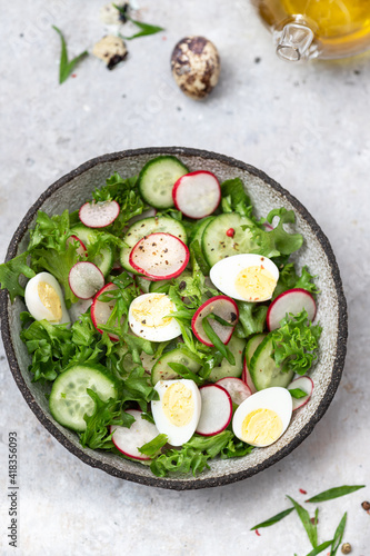 Fresh, spring salad with cucumbers, radishes and herbs