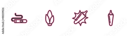 Set line Cigar, Hot chili pepper pod, Corn and icon. Vector.