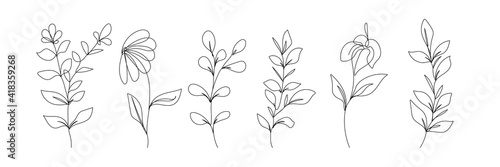 Vector Set of Hand Drawn Line Art Botanical Elements  Leaves  Flowers. Minimalist Trendy Contemporary Design Perfect for Wall Art  Prints  Social Media  Posters  Invitations  Branding Design.