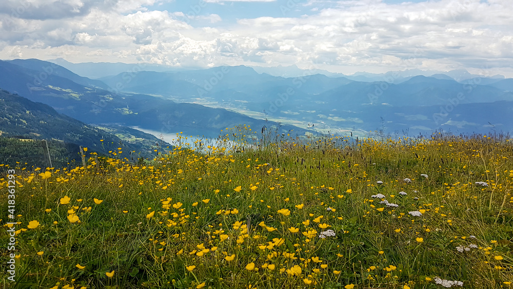 Lush and vast pasture with a lot of wildflowers on it and panoramic view on the Millstaettersee lake from Granattor in Austrian Alps. The distant lake is surrounded by high mountains. Few clouds above