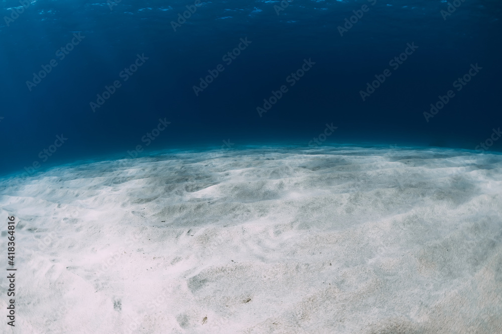 Fototapeta premium Blue ocean at the deep with white sand and underwater