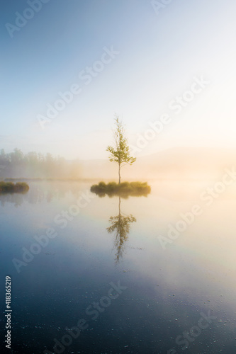 Obraz na plátně Šumava - Chalupská slať - Czechia