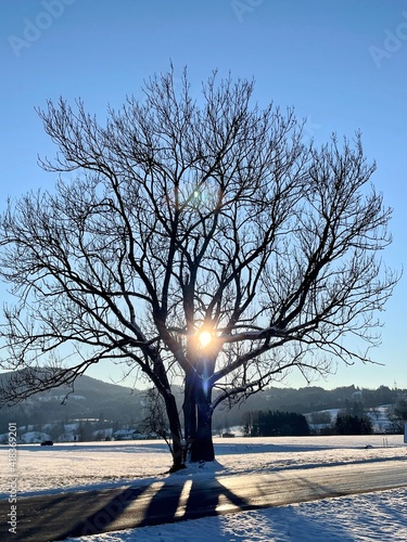 the sunsset in Bavaria