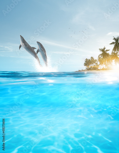 view of nice bottle nose dolphin  swimming in blue crystal water © Dmitry Ersler