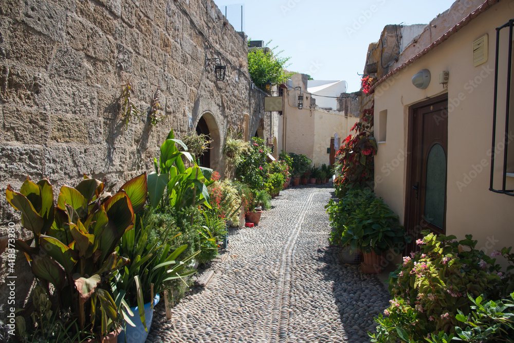 Beautiful plants and flowers in pots along a pedestrian street. Walls of Rhodes, Greece