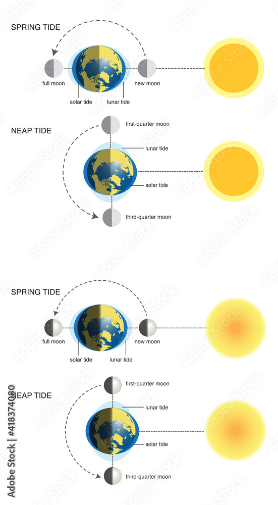 vector illustration of spring tide and neap tide (diagram):2 different ...