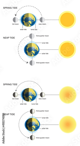 vector illustration of spring tide and neap tide (diagram):2 different versions 