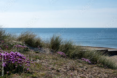 Hengistbury Head on a sunny day. photo