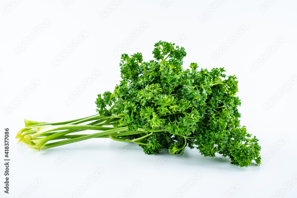 Fresh parsley on white background Fresh parsley on white background