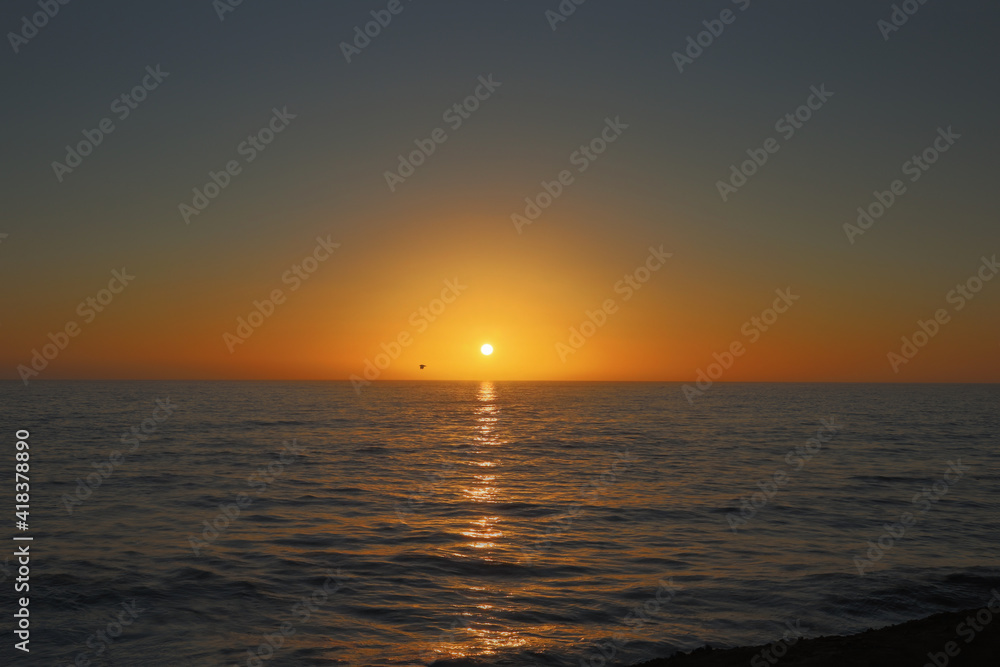 A beautiful golden hour on the horizon. Sunset seascape with a view of a bird flying by.