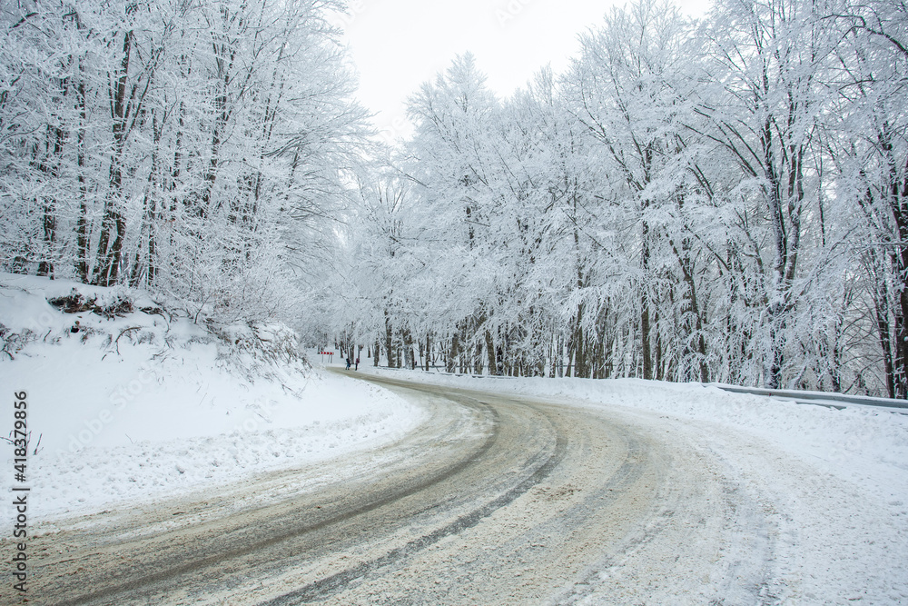 Obraz premium Road in Sabaduri forest with covered snow. Winter time