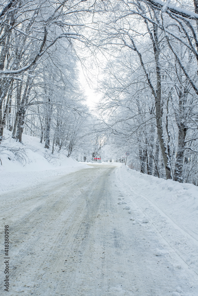 Road in Sabaduri forest with covered snow. Winter time Road in Sabaduri forest with covered snow. Winter time