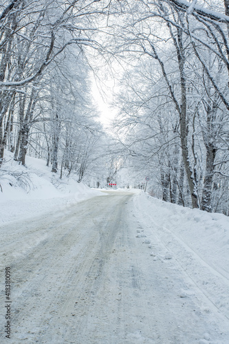 Road in Sabaduri forest with covered snow. Winter time