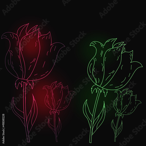 Neon Tulips Black Background. Pink Green Tulips Minimalistic Mysterious Picture. Magic Tulips photo