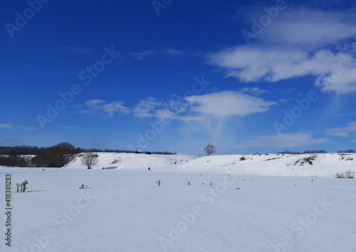 winter landscape with trees and snow on a blue sky background © DAndreev