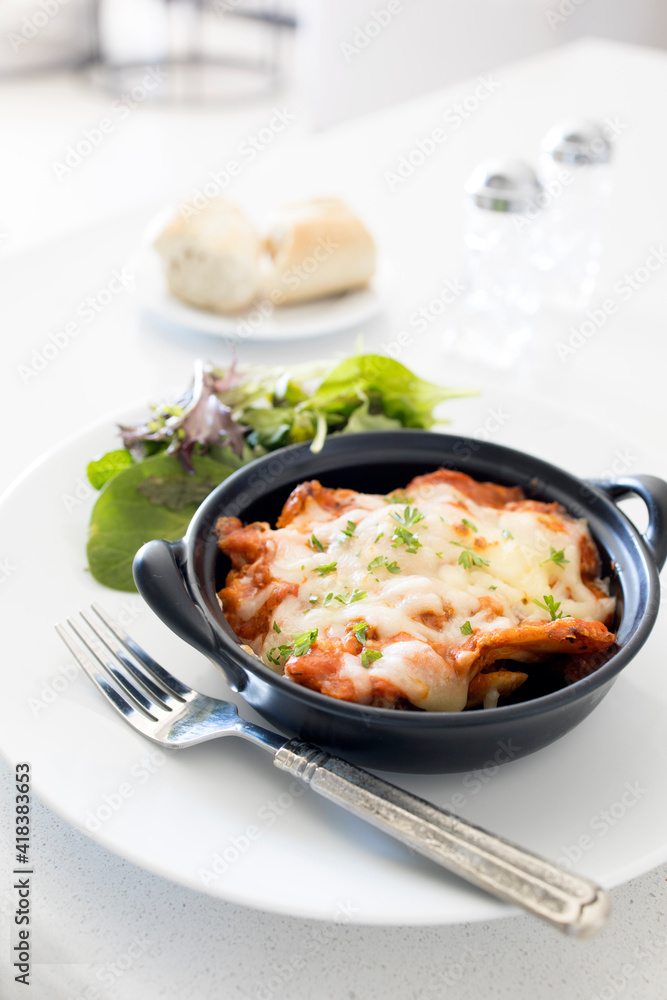 Dish of Lasagna and Side Salad Dish of Lasagna and Side Salad