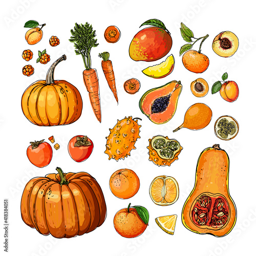 Orange. Vector food. Colored vegetables and fruits on a white background. Pumpkin, persimmon, papaya, mango, carrot, tangerine, orange, peach, apricot